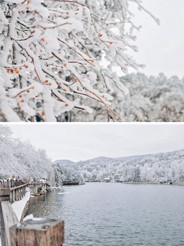 下雪的庐山宛如童話小鎮，超美！