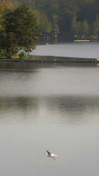 彩雲湖公園 感受綠野仙蹤般的浪漫