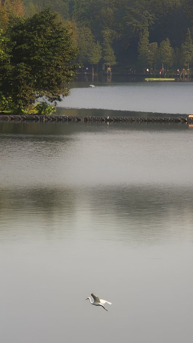 彩雲湖公園 感受綠野仙蹤般的浪漫