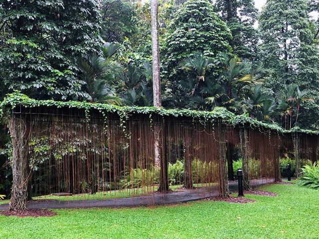 新加坡植物園