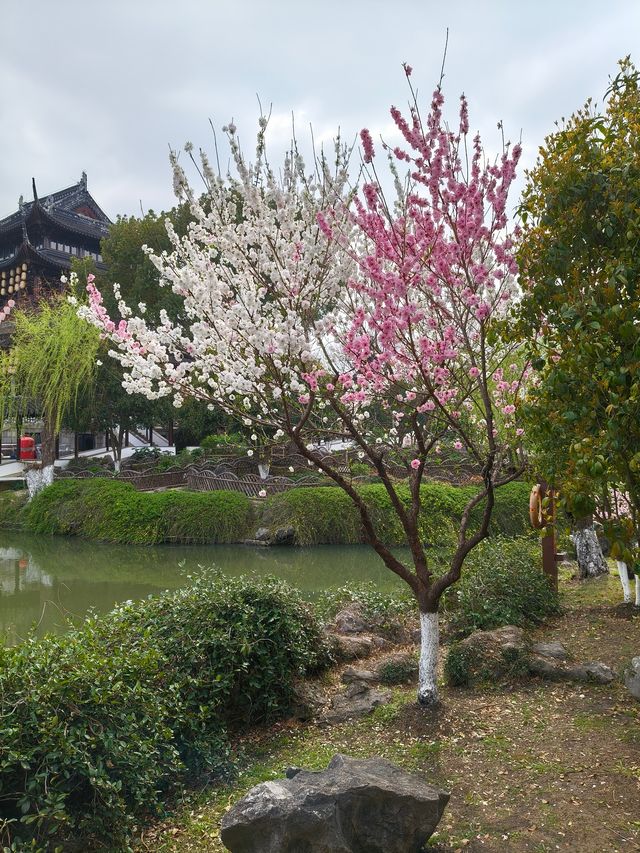 蘇州吳宮泛太平洋酒店