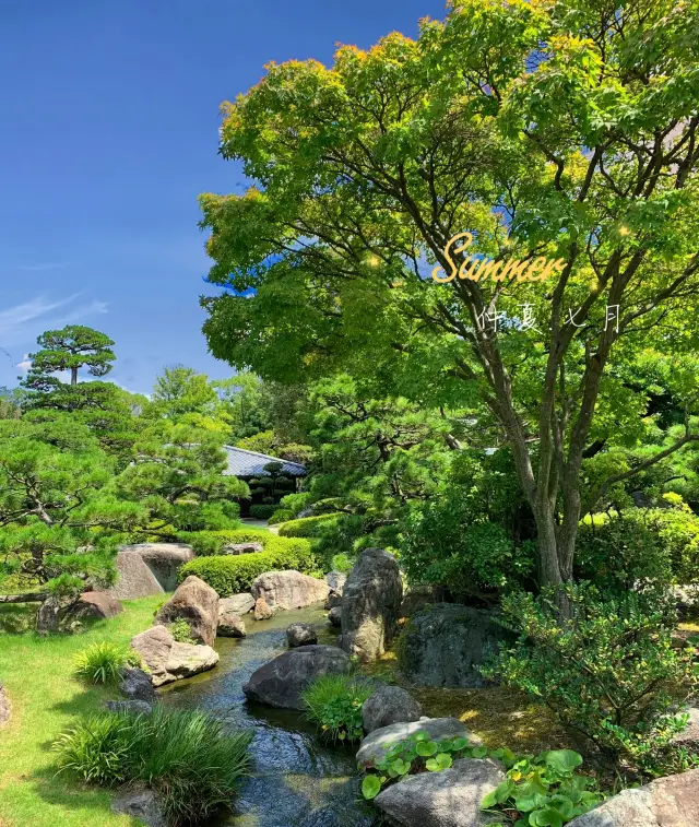 打卡日本僅有的水上樂園之一——大濠公園遊玩