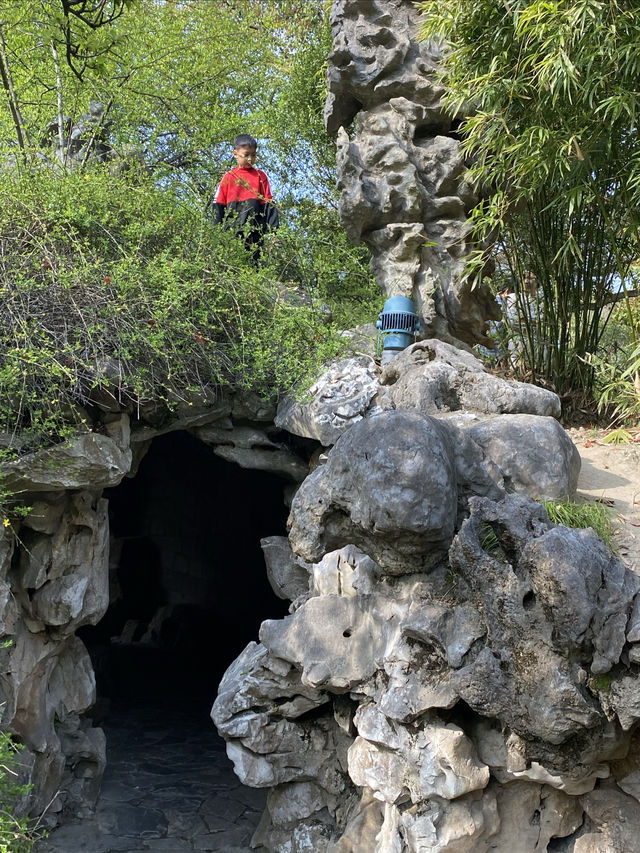 不去園林怎知春色幾許｜太倉·南園