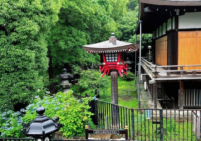 東京第一座公園上野公園