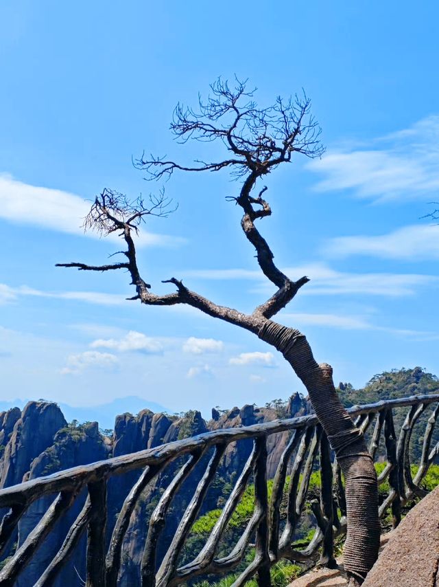 後悔來晚了，人間仙山三清山，此生必去