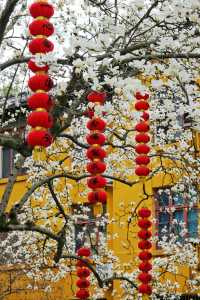 原來杭州春天所有的美好都藏在這裡！