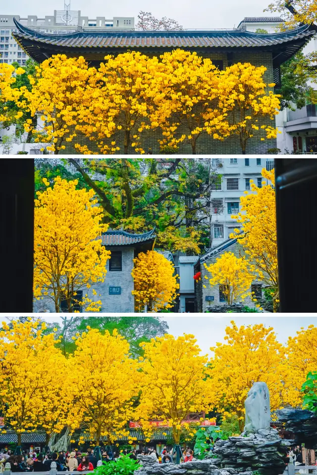 I can't believe you haven't heard of the romance at Guangzhou's Guangxiao Temple