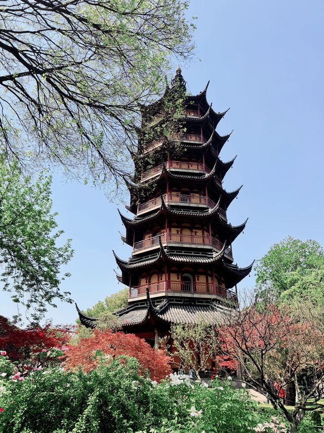 在紅梅公園，錯過梅花季是怎樣的體驗