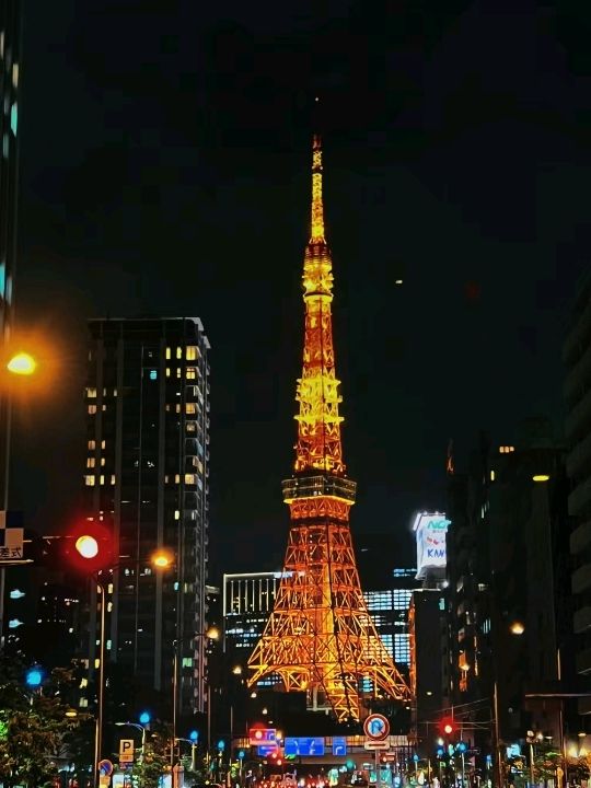 Excellent Tokyo Tower in Japan 🗼🇯🇵