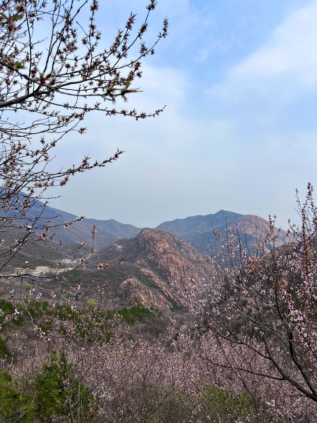 北京鳳凰嶺｜京城綠肺