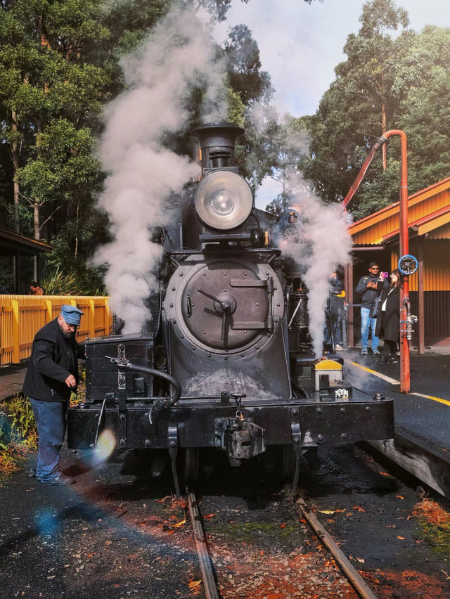 Puffing Billy Railway 🚂 Melbourne 🇦🇺