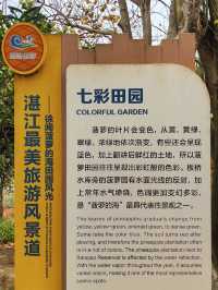 玩轉湛江｜菠蘿的海