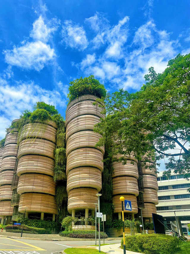 Nanyang Technological University 🎓🇸🇬