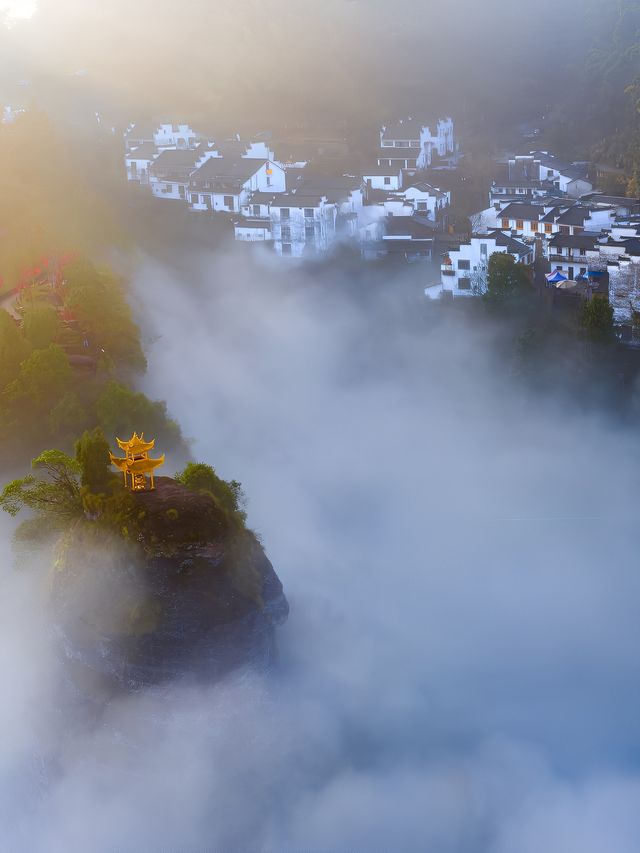 從未想過黃山還有如此隱秘的角落，來一次就愛上了