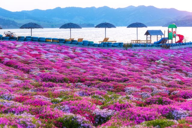 遷西縣雨花谷