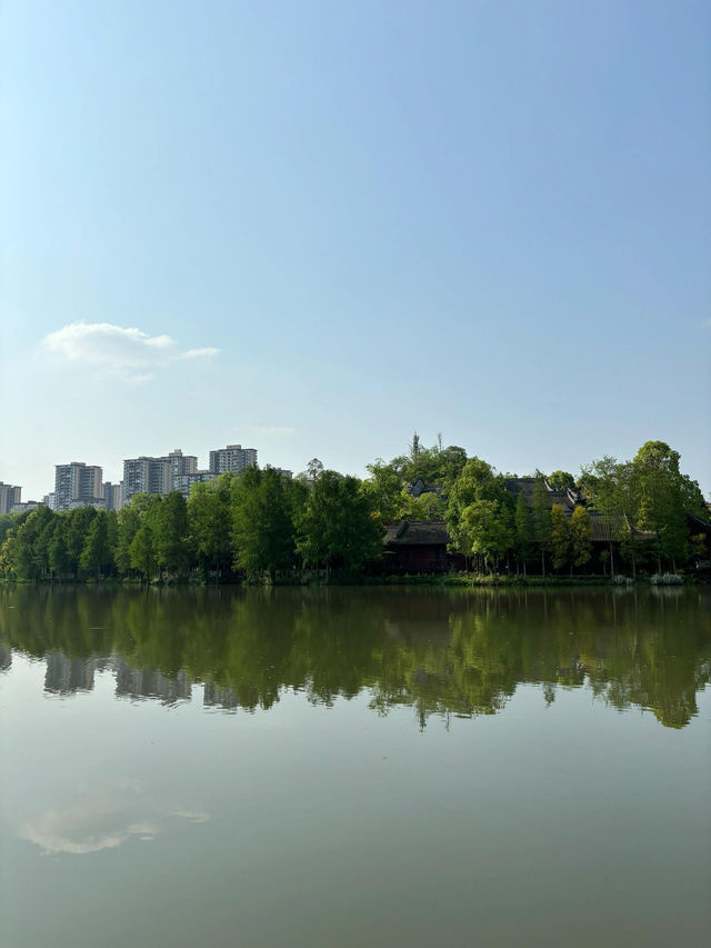 璧山秀湖公園｜常來常新的一個自然系公園