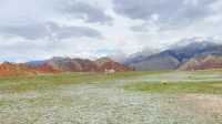 五一新疆賞花旅行，塔村有草原和雪山等你來哦！