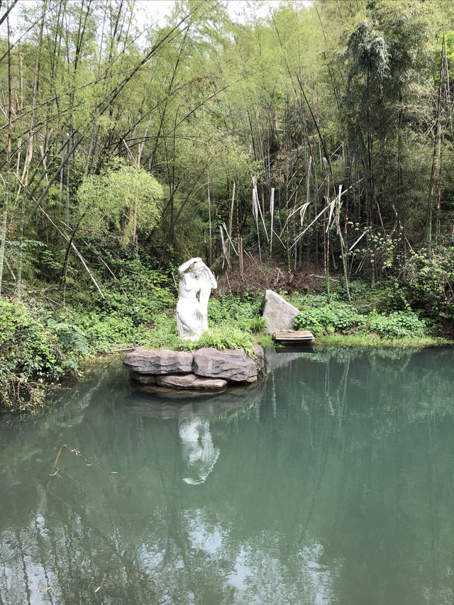 長沙·黑麋峰森林公園徒步