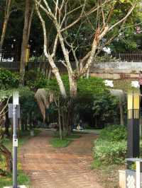 徐聞人民公園最佳遊玩攻略