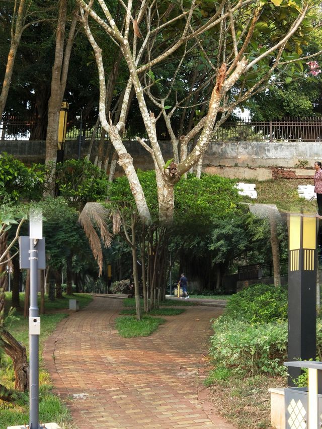 徐聞人民公園最佳遊玩攻略 徐聞人民公園最佳遊玩攻略