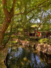 專屬於中國人的莫奈花園——蘭陵壓油溝