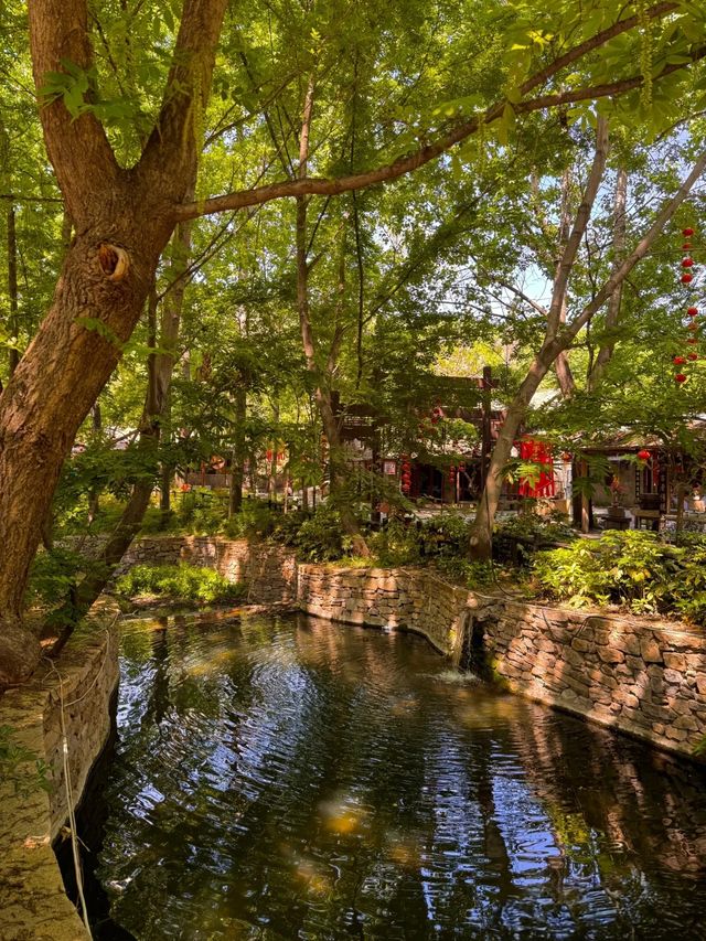 專屬於中國人的莫奈花園——蘭陵壓油溝