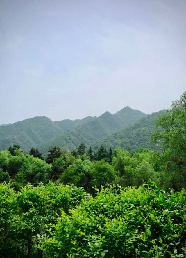 西安這個寶藏公園人少景美還免費