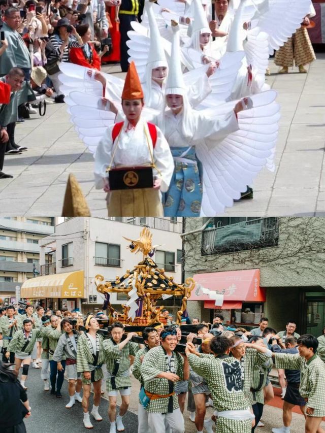 東京三社祭