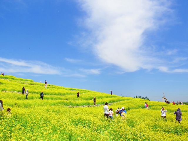 我終於來了任意門的另一邊——芸上梯田