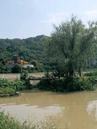 打卡春色寄情人泉州永春取景地