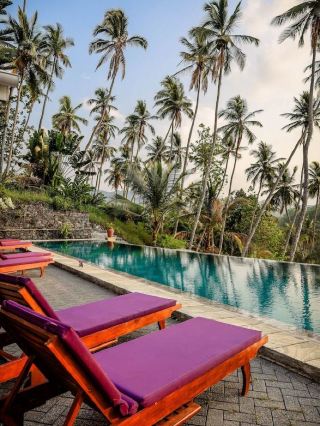 🔥✈️ Sri Lanka's Hidden Gem: Flame Tree Estate 🌳🏨