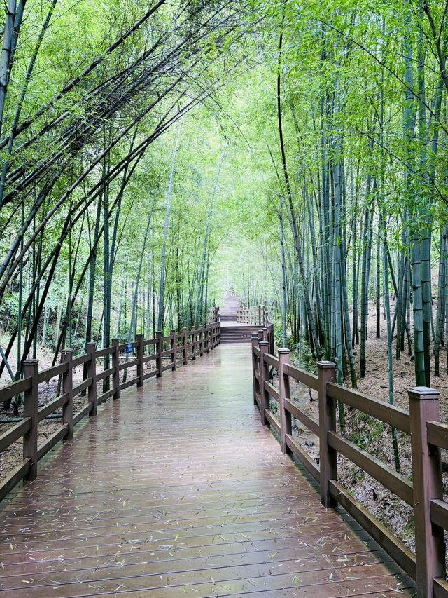 <《桂林風光：探索中國最美麗的山水畫卷》