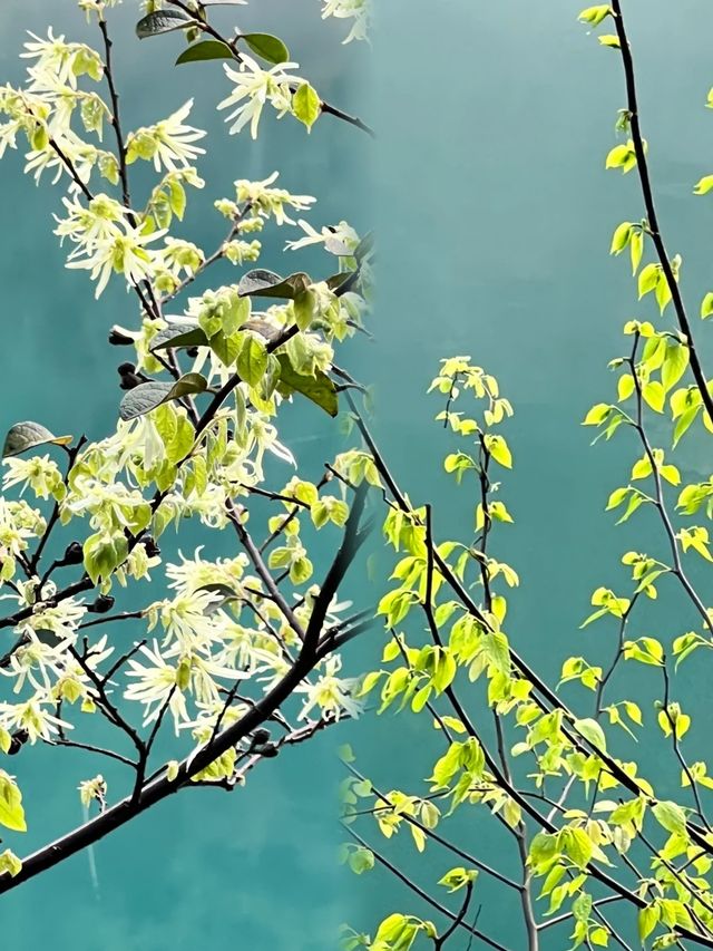 郴州小東江