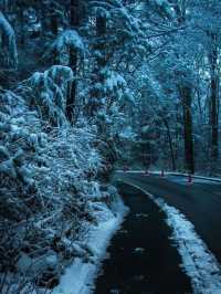 🌨️❄️ Vancouver: A Snowy Paradise Like No Other! 🌨️❄️