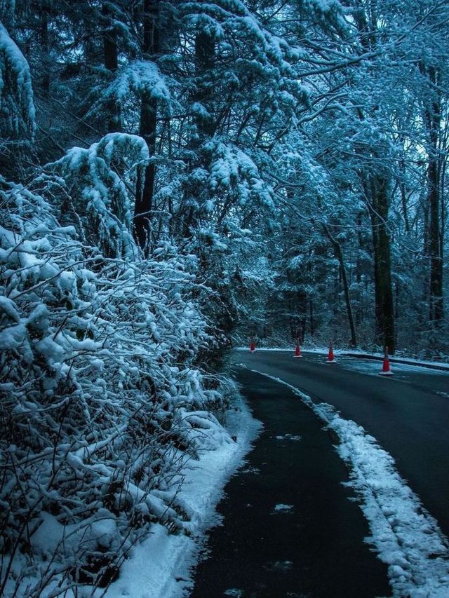 🌨️❄️ Vancouver: A Snowy Paradise Like No Other! 🌨️❄️