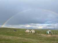 恰西森林公園:秘境中的綠色寶藏。