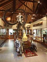 🌴🌊 Bali's Best: Family Fun in the Sun! 🎢🐘