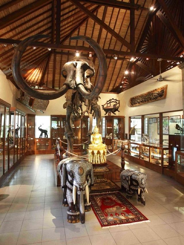 🌴🌊 Bali's Best: Family Fun in the Sun! 🎢🐘