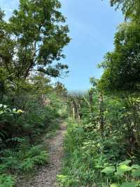 合肥周邊遊——冶父山國家森林公園