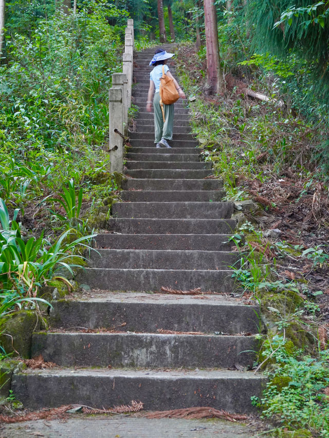 暑期近郊親子徒步寶藏地 | 跑馬嶺避暑納涼，好愜意