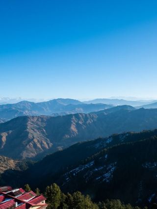 🏔️ Shimla's Cozy Stay: Royal Tulip's Finest 🌟