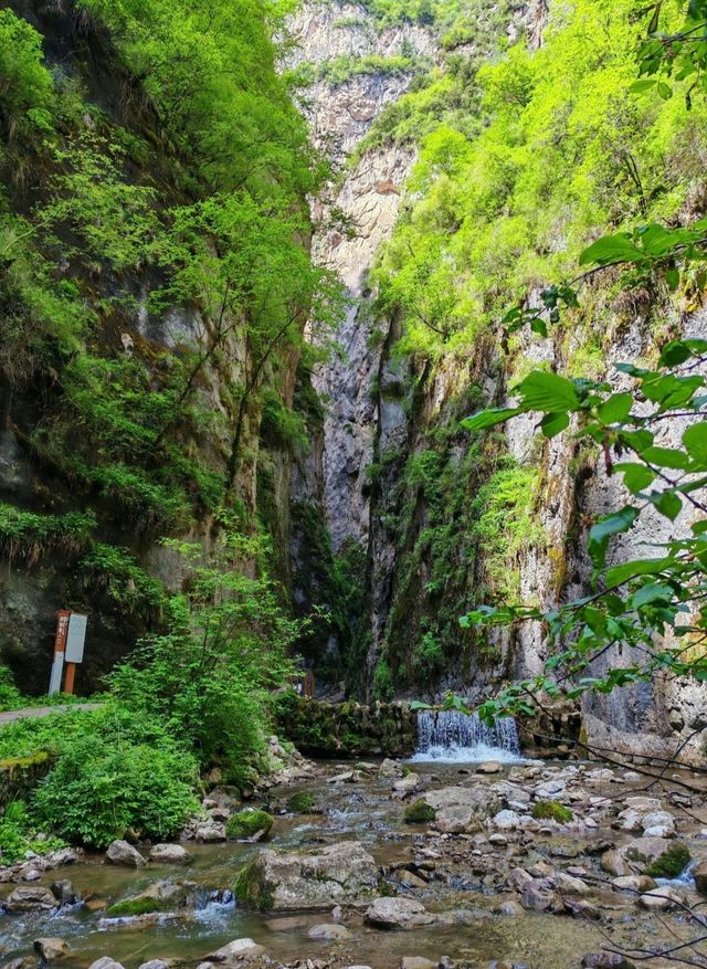 避暑勝地遮陽山旅遊攻略