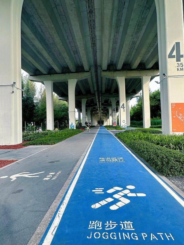 深圳寶藏綠道 | 山海連城前海灣段遊玩攻略