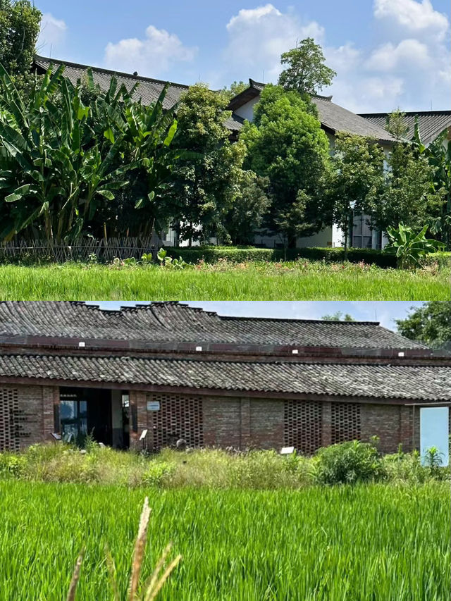 成都!安仁古鎮!住進嚮往的生活裡!