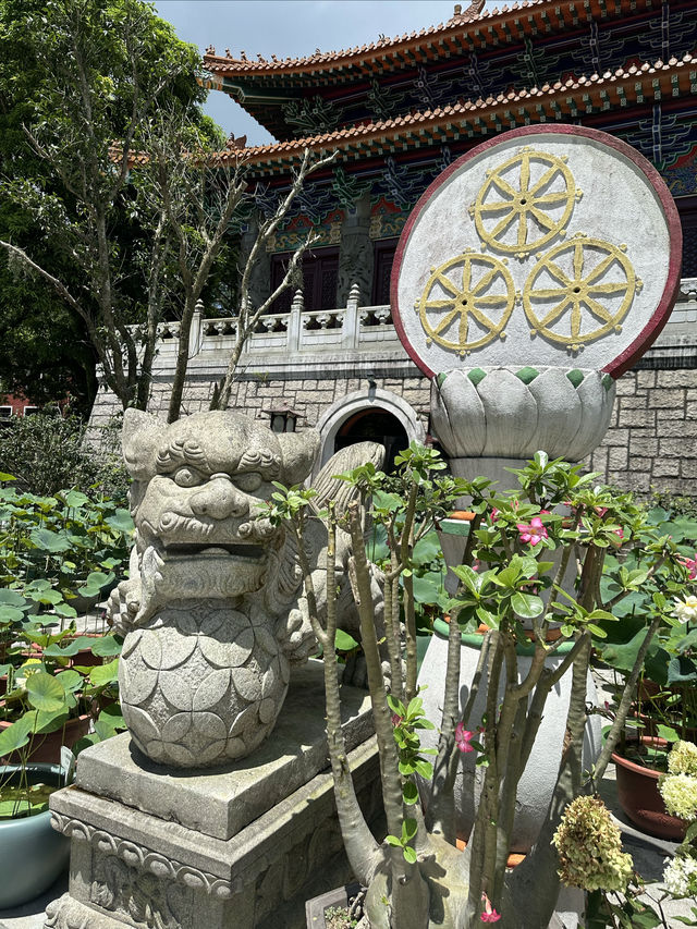 在大嶼山的行程安排～看這一篇就夠了