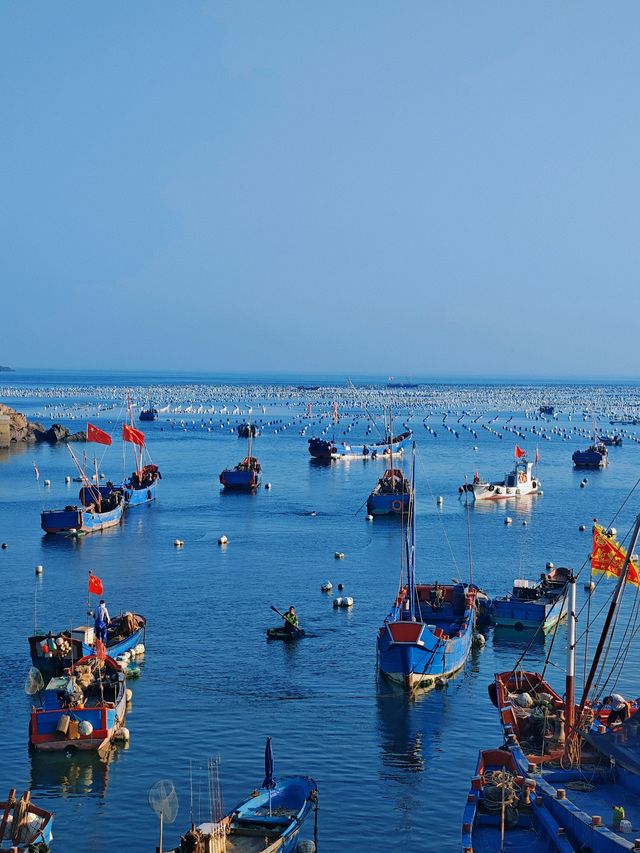 枸杞島慢旅非必來卻難忘的週末