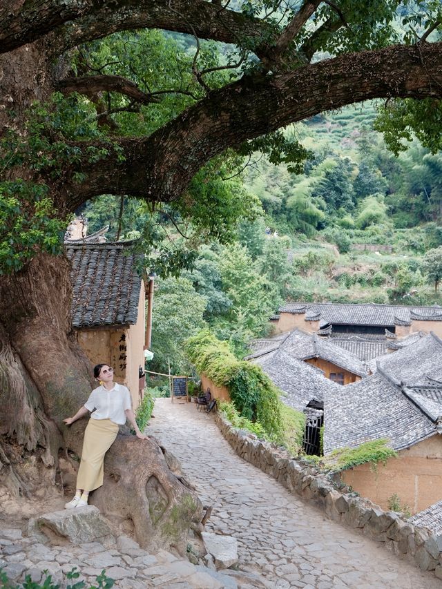 麗水｜你又偷藏“江南最後的秘境”不吱聲