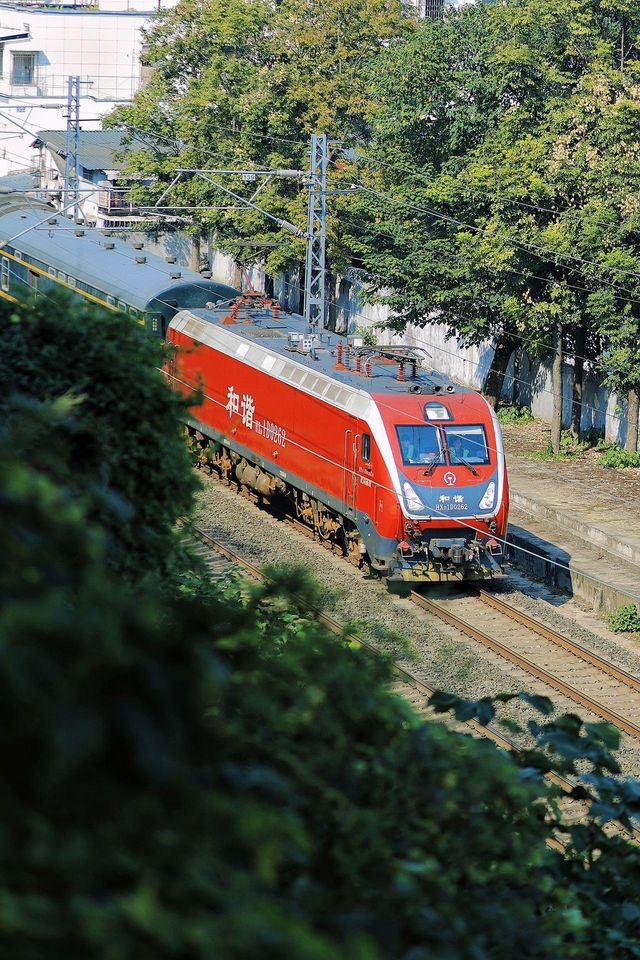 武漢市內冷門公園 ！地鐵直達治癒徒步路線