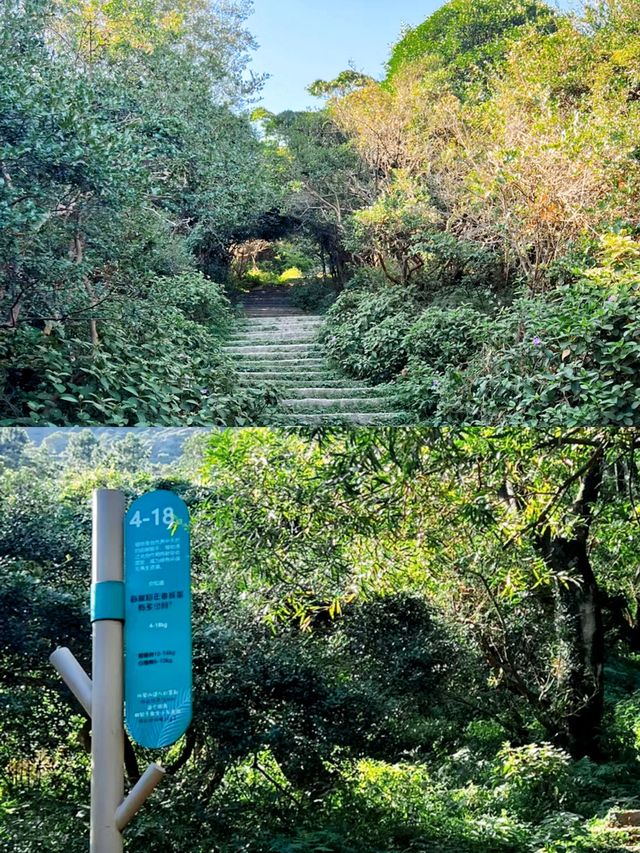 廈門周邊遊福建版“阿勒泰”