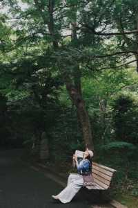 東京｜悠閒漫步·代代木公園到根津美術館 🚶‍♂️🌳🎨
